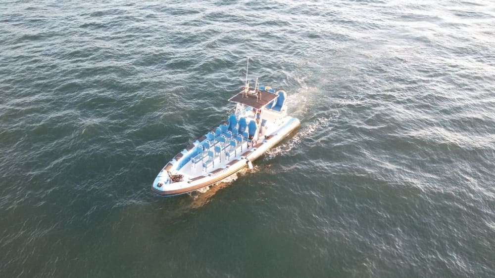 Lisbon at Full Speed: Private Speedboat Tour on the Tagus River