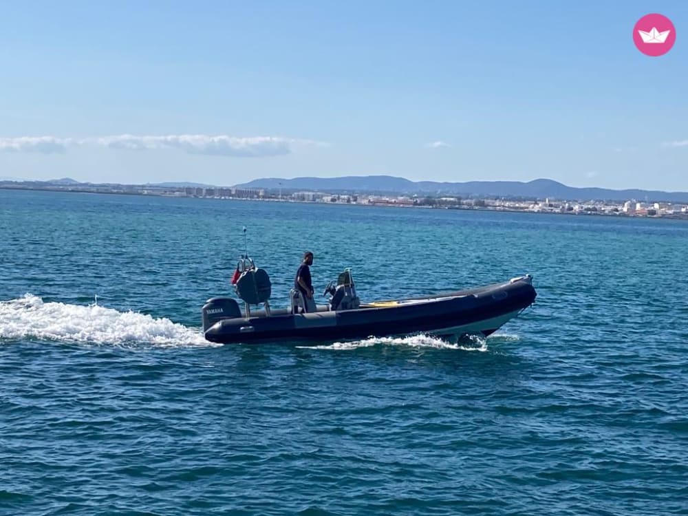 Escape de delfines y mar: aventura de 3 horas desde Olhão