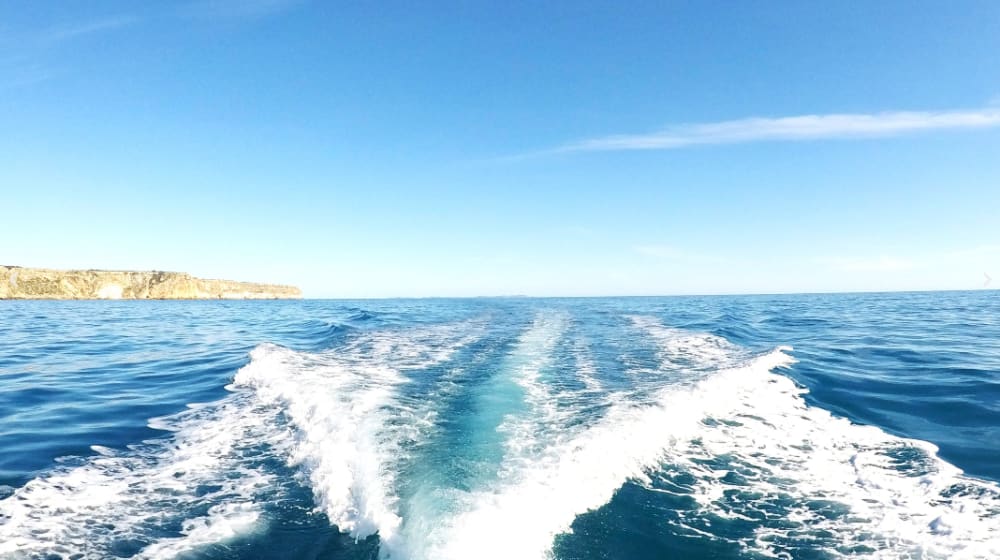 Sail the Sapphire Coast: A Full-Day Escape to Dragonera Island