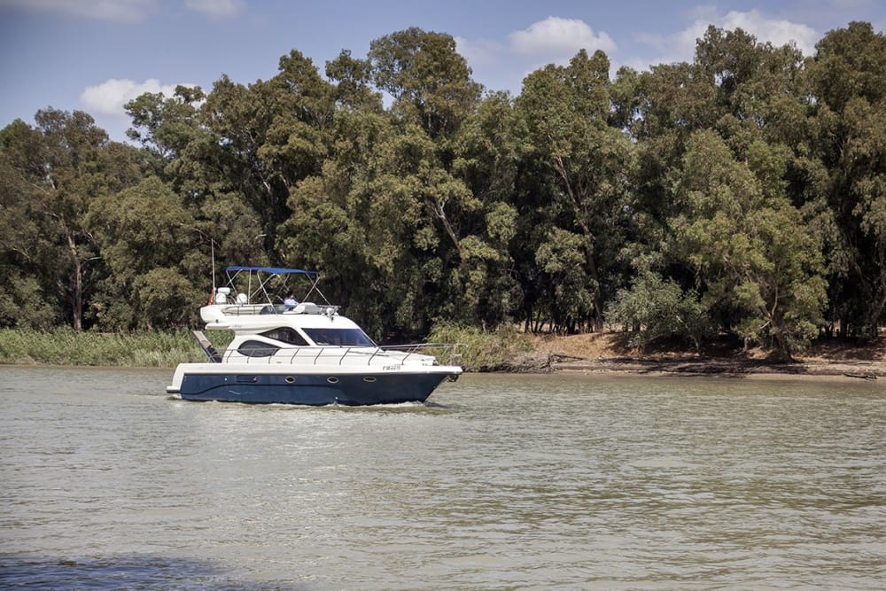 Descubrimiento de la costa andaluza: crucero de 4 horas desde Puerto Sherry