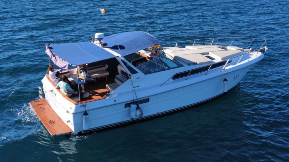 Chárter privado de 3 horas: fiesta, diversión y crucero por la costa de Marbella