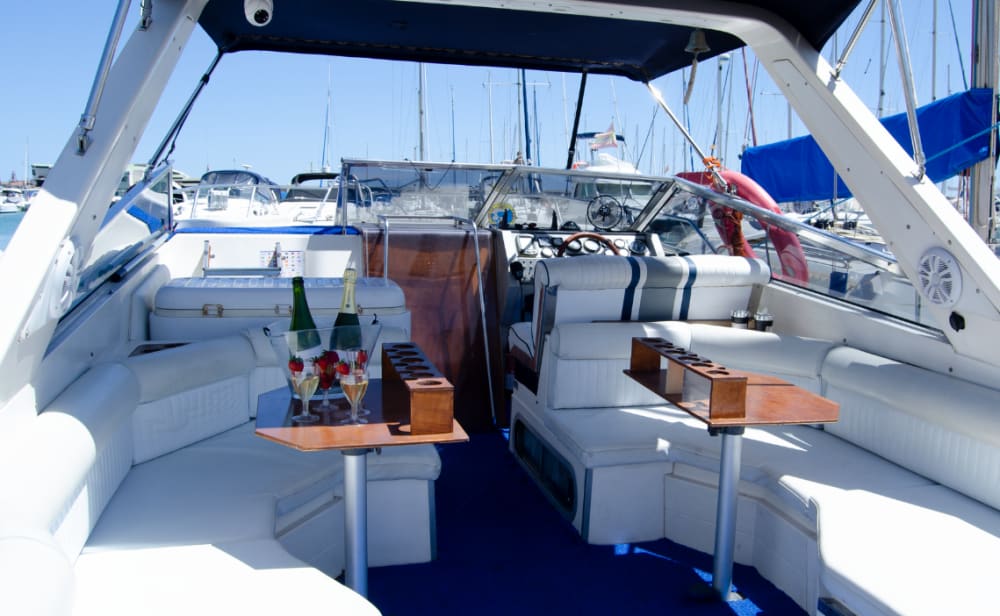 Salida de 3 horas desde Puerto Marina