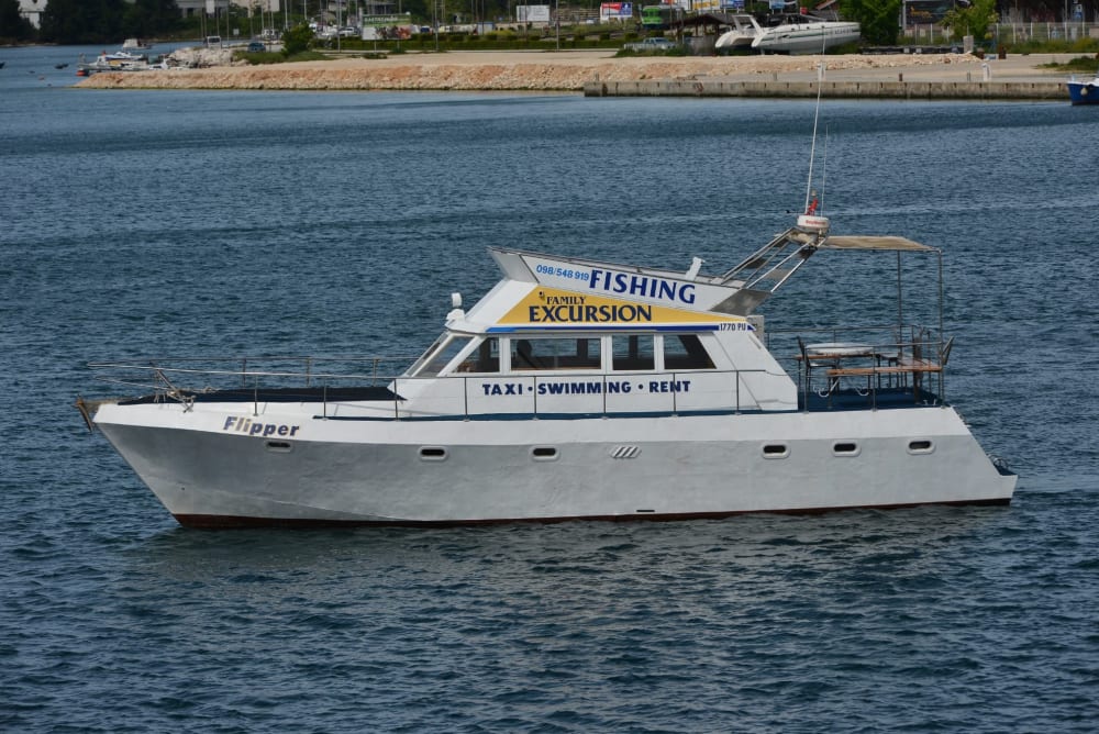 Tour privato di 3 ore al tramonto con delfini e vino