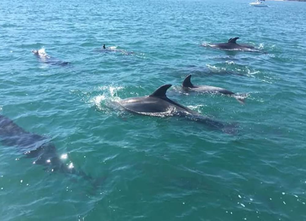 Fuga costeira em Aravide – 3 horas de natureza, mar e serenidade