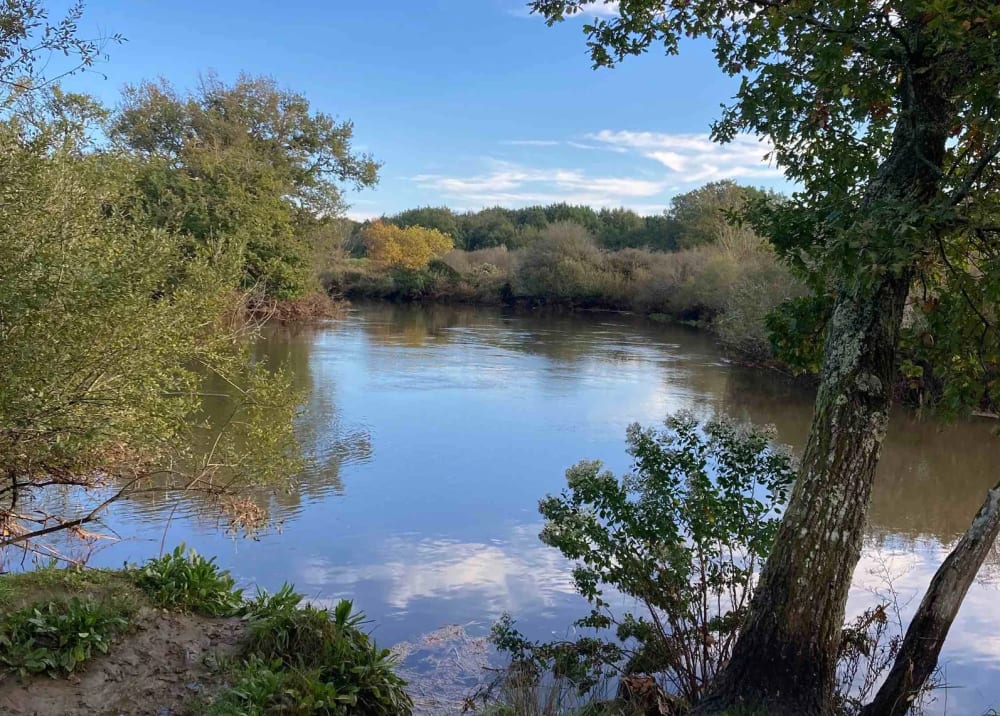 Le Bassin autrement… 5 heures entre bancs et Esteys, ports ostréicoles et Leyre