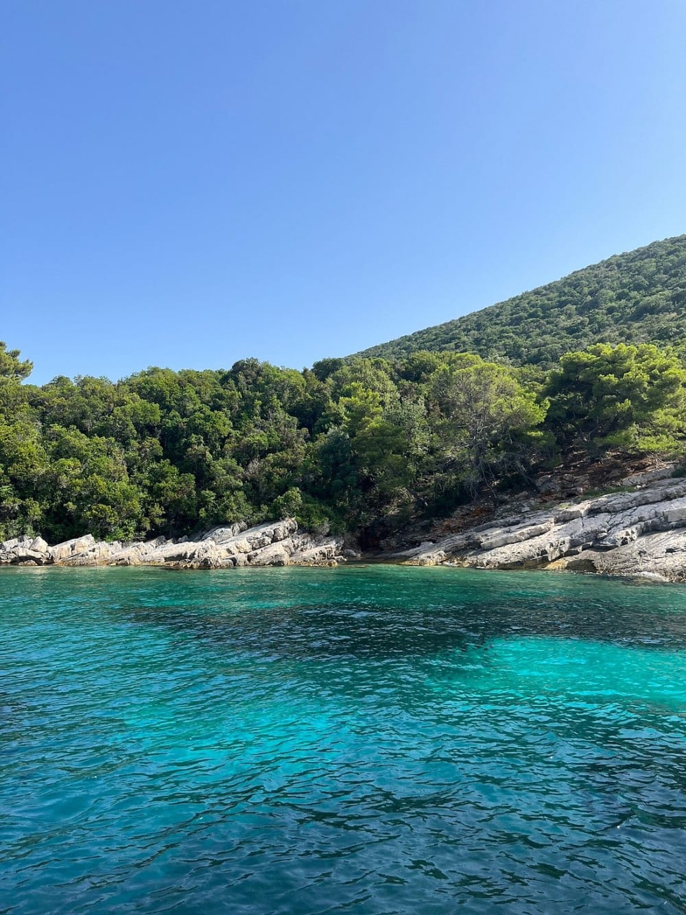 Excursion d'une demi-journée aux îles Élaphites&nbsp;: expérience en bateau privé