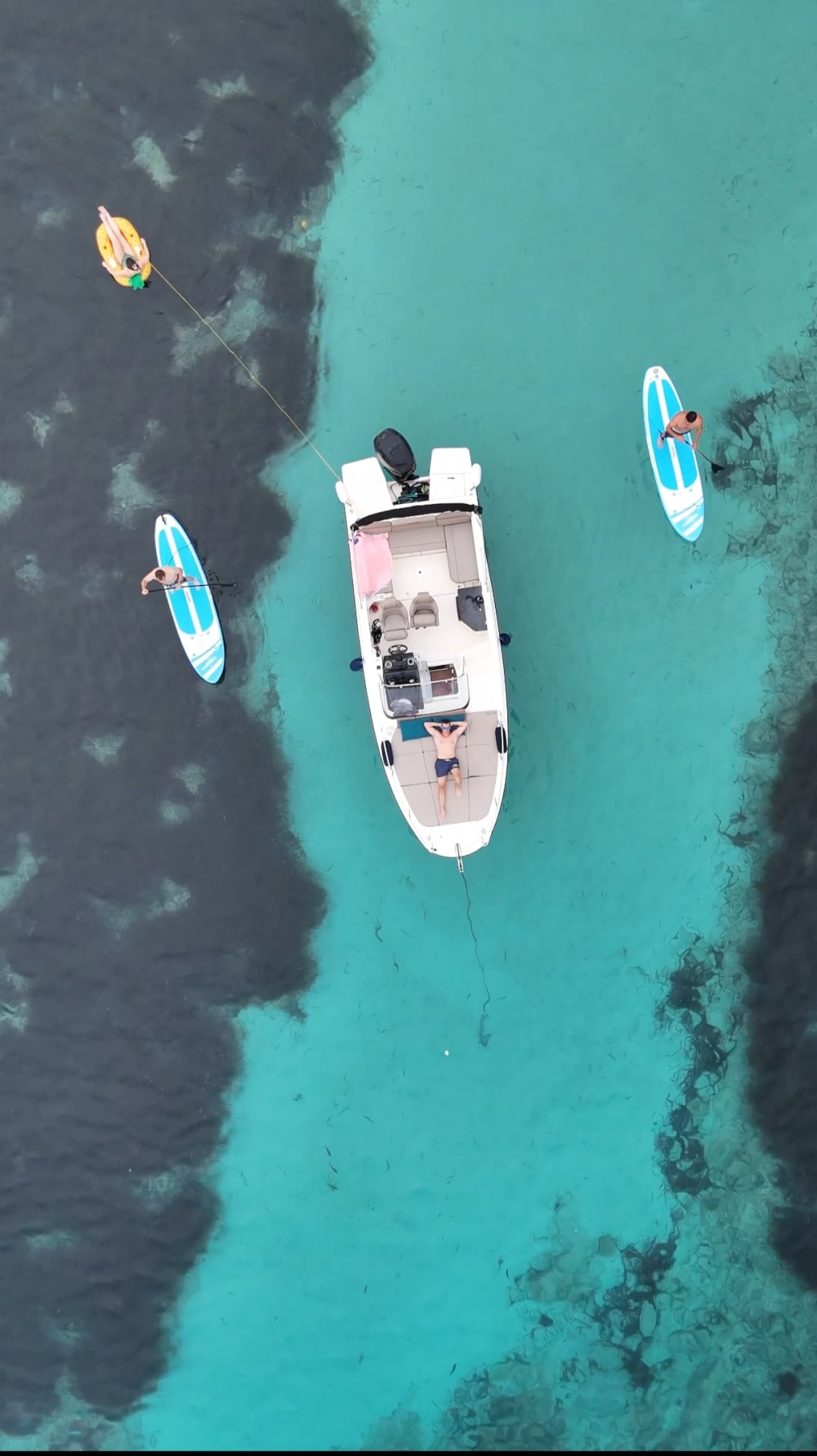 ☀️🛥️⚓Crociera di un giorno alle Isole di Lerino: un'avventura rilassante e indimenticabile per un massimo di 6 passeggeri⚓🛥️