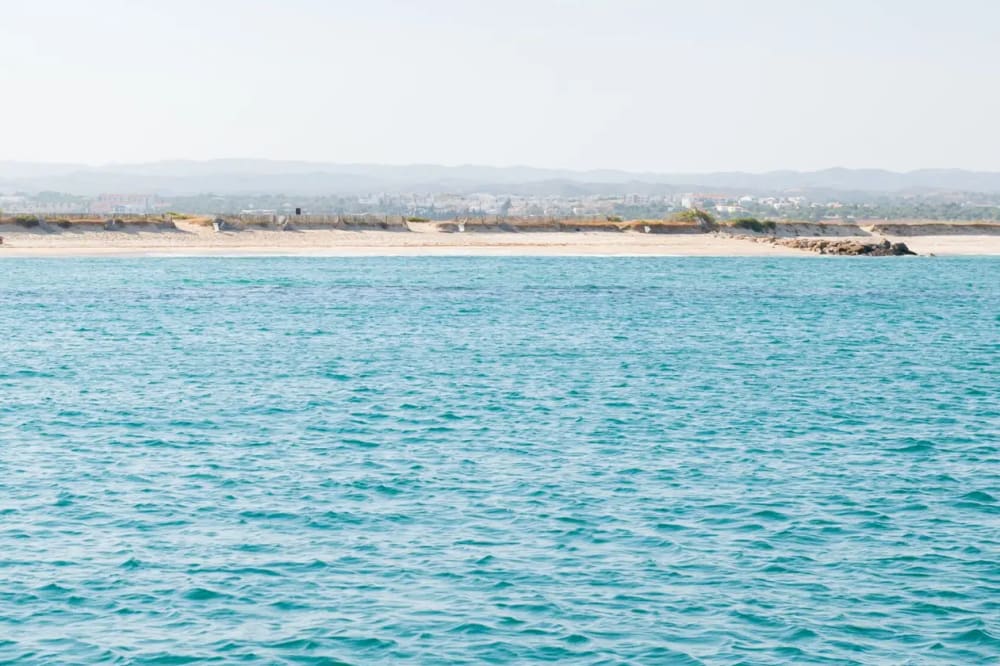 Half-day sailing through the secret paradises of the Ria Formosa