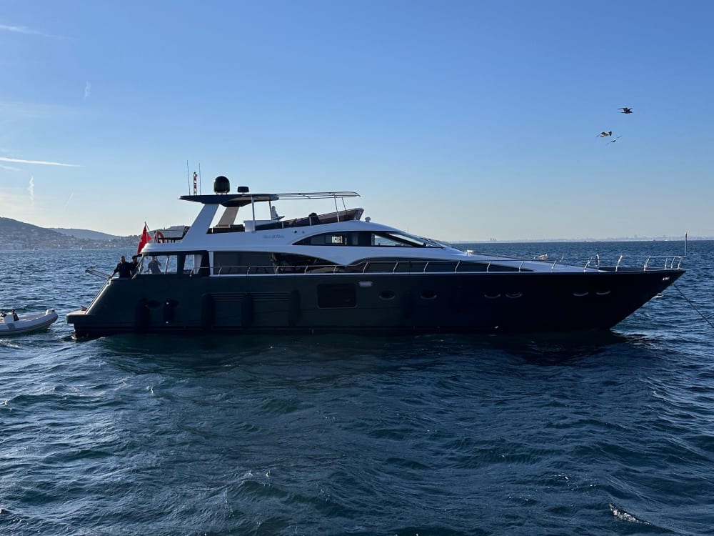 Bosphorus Cruise with Views, Comfort & Refreshments