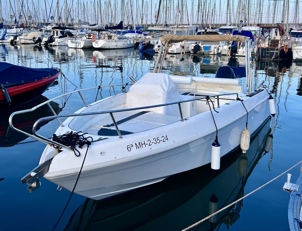 Excursion d'une demi-journée : découvrez la magie du littoral de Barcelone