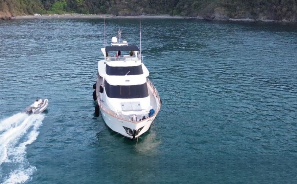 Bodrum Peninsula Bay Tour: A Full-Day Cruise of Hidden Coves, Crystal Waters, and Relaxation