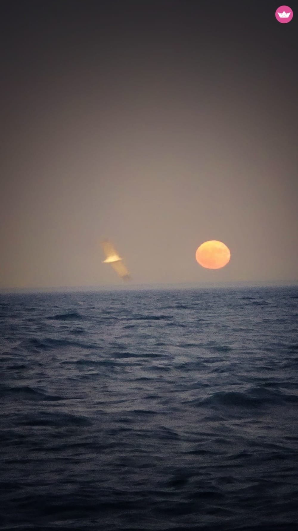 Aventura de navegación costera de un día: crucero de 3 horas con paradas para nadar