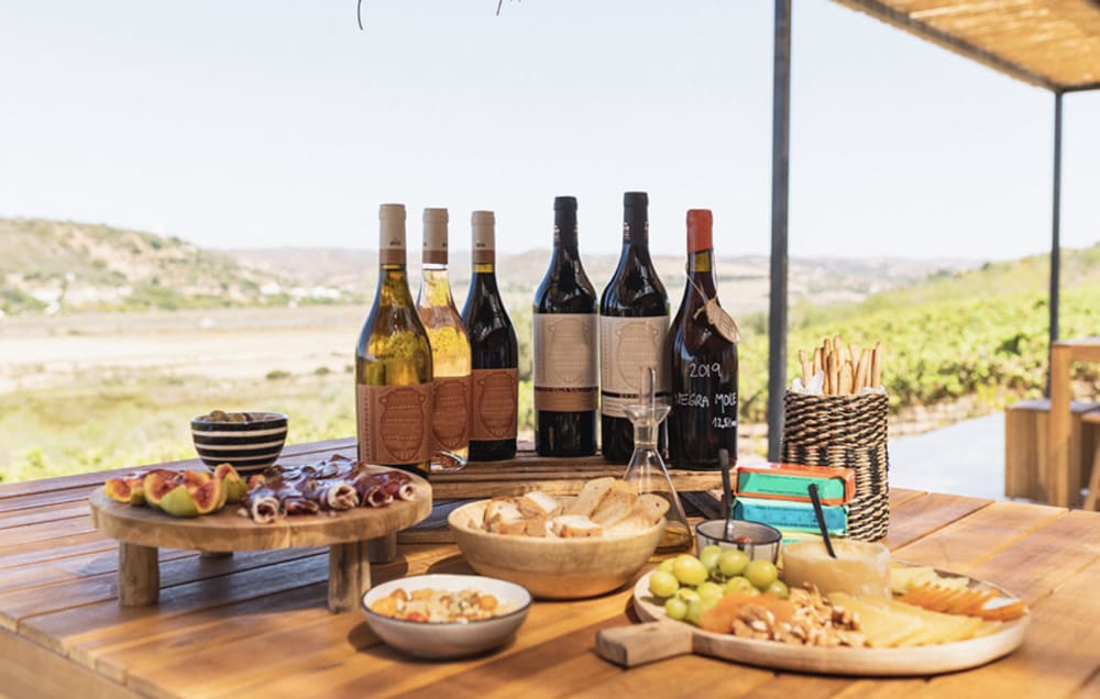 4.5-Hour Boat Trip & Wine Tasting Experience at ARVAD Winery