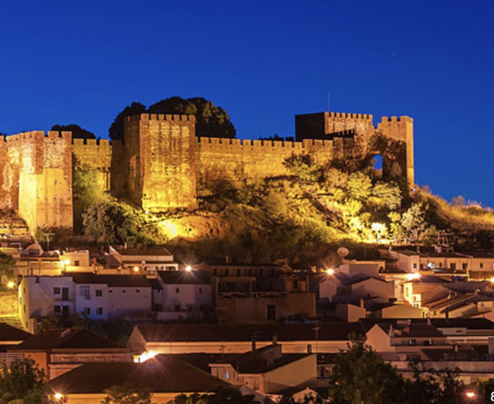 Naviguez à travers l'histoire : excursion en bateau panoramique de Lagos à Silves