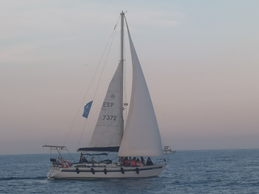 Escapada de 1h30 en Barcelona – Velero con Cava y Tapas