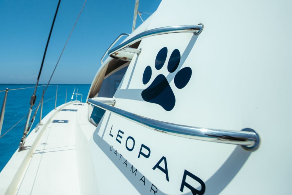 Excursion d'une journée sur l'île de Mnemba&nbsp;: plongée avec tuba, bancs de sable et croisière côtière