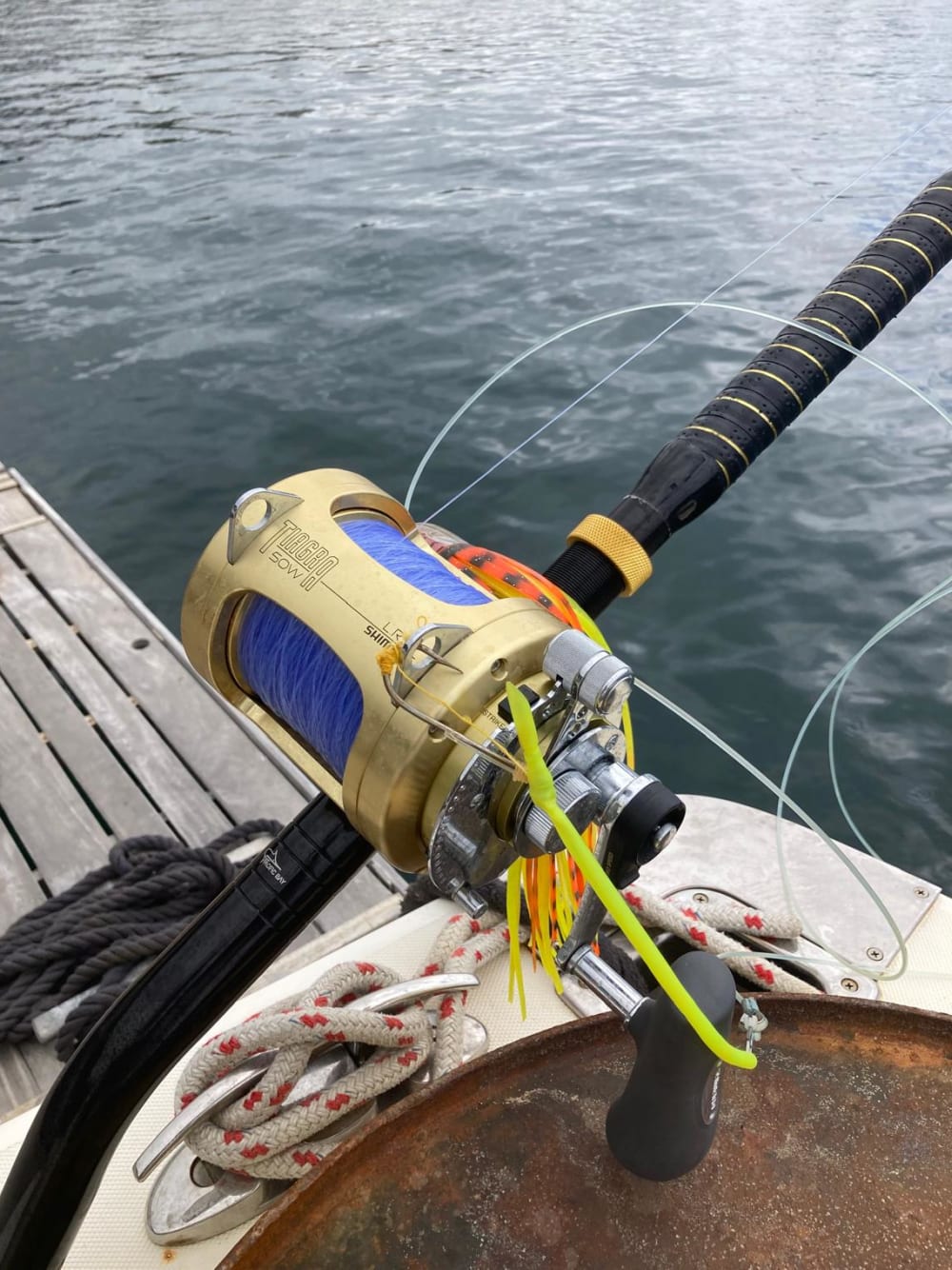 Ganztägiger Bootsausflug nach Porto Santo