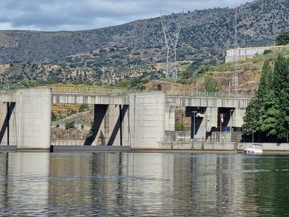 Half Day River Cruise with Swim in Douro Superior