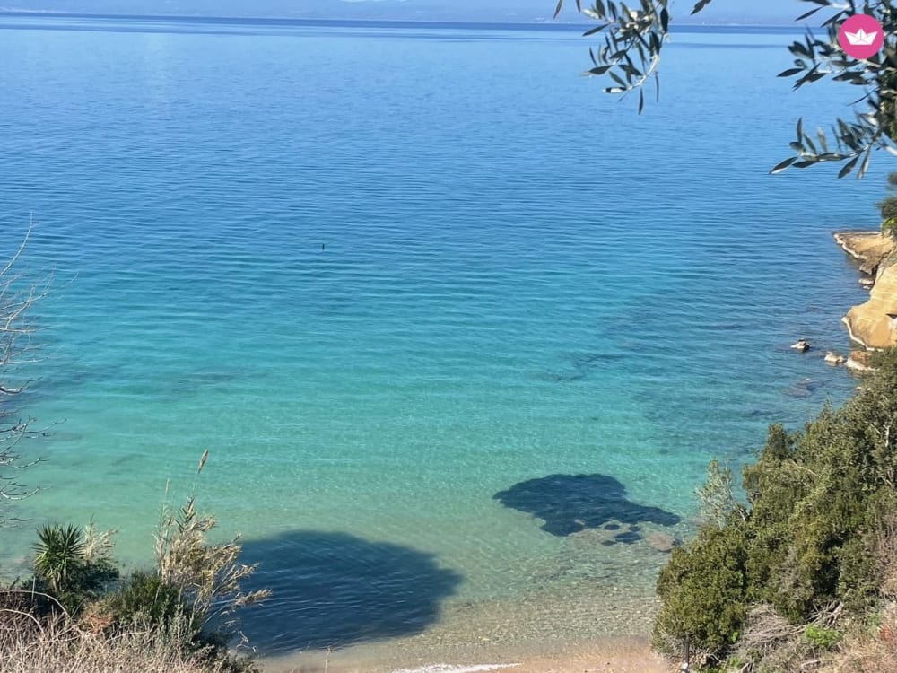 Discovering the marine treasures of Akritas – A day of adventure at sea