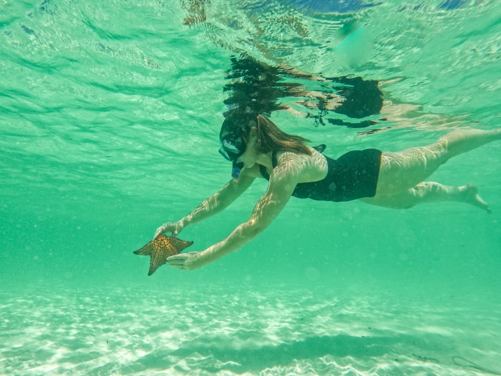 Bavaro's Full Day Odyssey: Explore, Learn & Relax on the Caribbean Sea