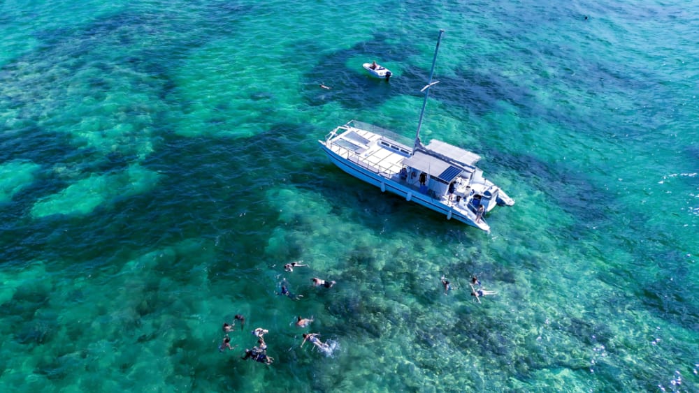 Bavaro's Best: 3-Hour Snorkel & BBQ Fiesta from Los Corales