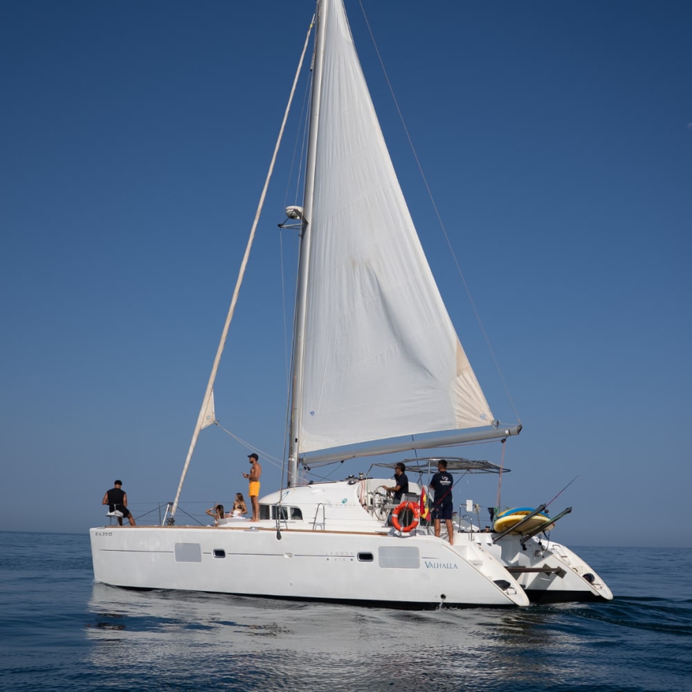 Tramonto e osservazione dei delfini, gita di 2 ore