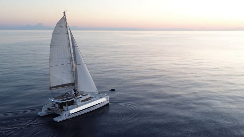 Le vent dans les voiles : l'archipel révélé par Porto Pollo