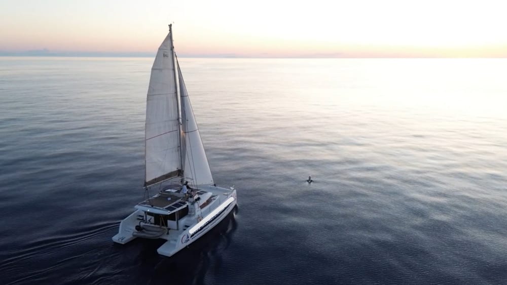 Symphony of Stars: Romantic Dinner in the Dream Archipelago