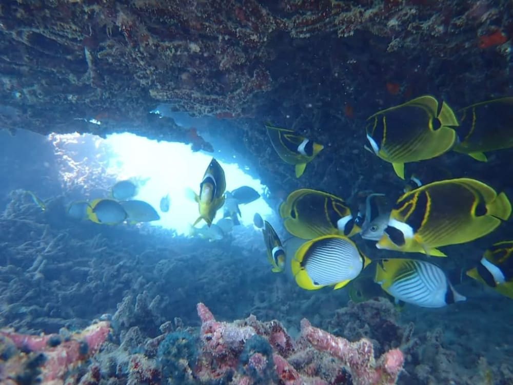 “Lagoon Escape” – Island Exploration Day from Shandrani Hotel