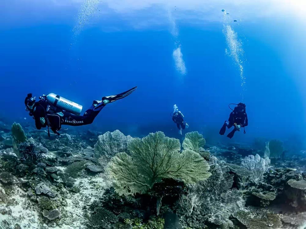 Aventure de 8 heures sur l'île Nosy Iranja