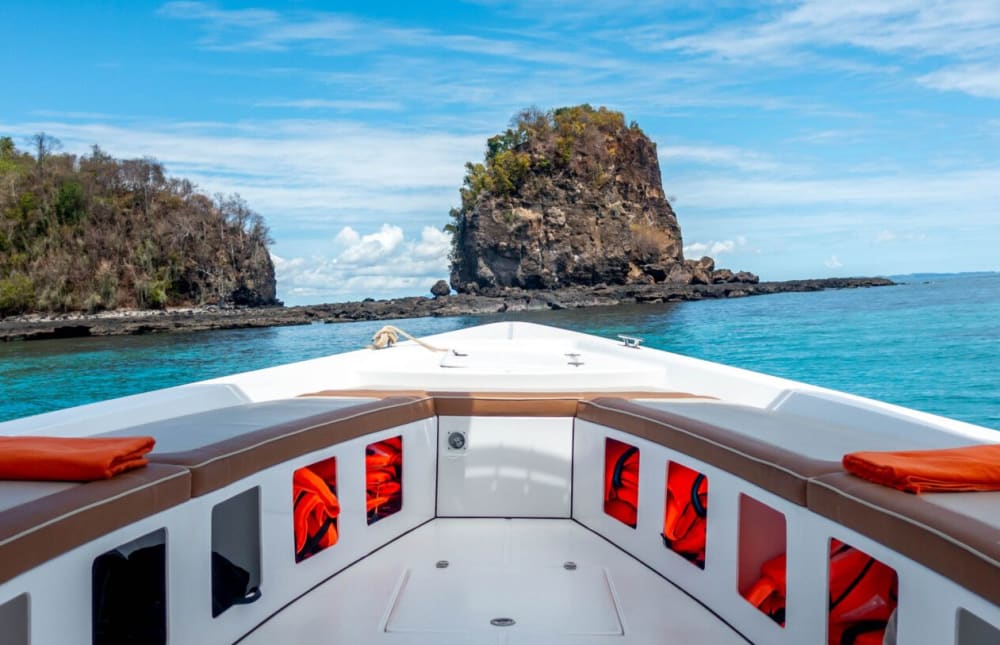 Visite de 8 heures des lémuriens et des mangroves de Mamoko