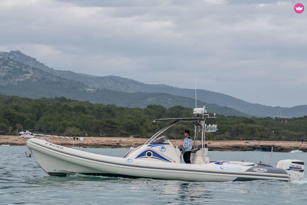 Tour nautico di 2 ore: rotta per Peñiscola da Marina Las Fuentes