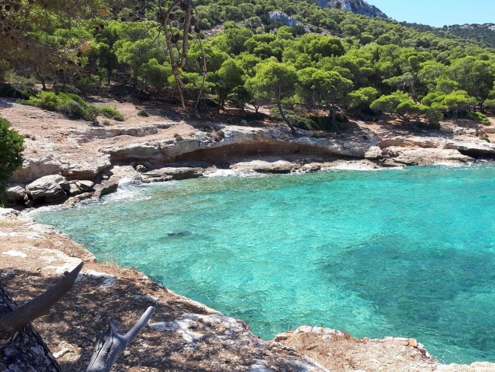 Morning Glow&nbsp;: une croisière privée le long du littoral d'Athènes