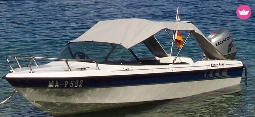 2,5-stündiger Ausflug zur Insel Dziewoklicz – Picknick, Natur und Entspannung pur