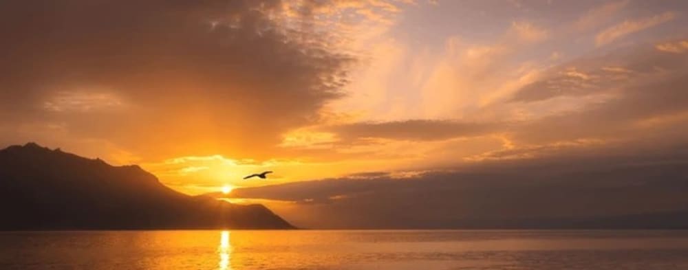 Croisière au coucher du soleil sur le lac Léman