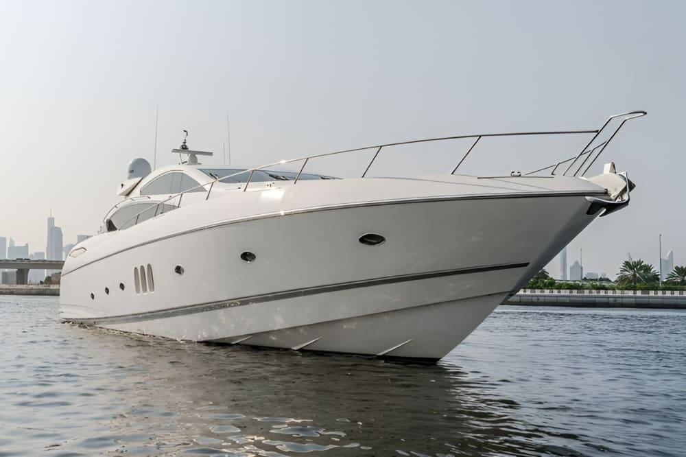 All Around Palm — The Ultimate 4-Hour Luxury Cruise