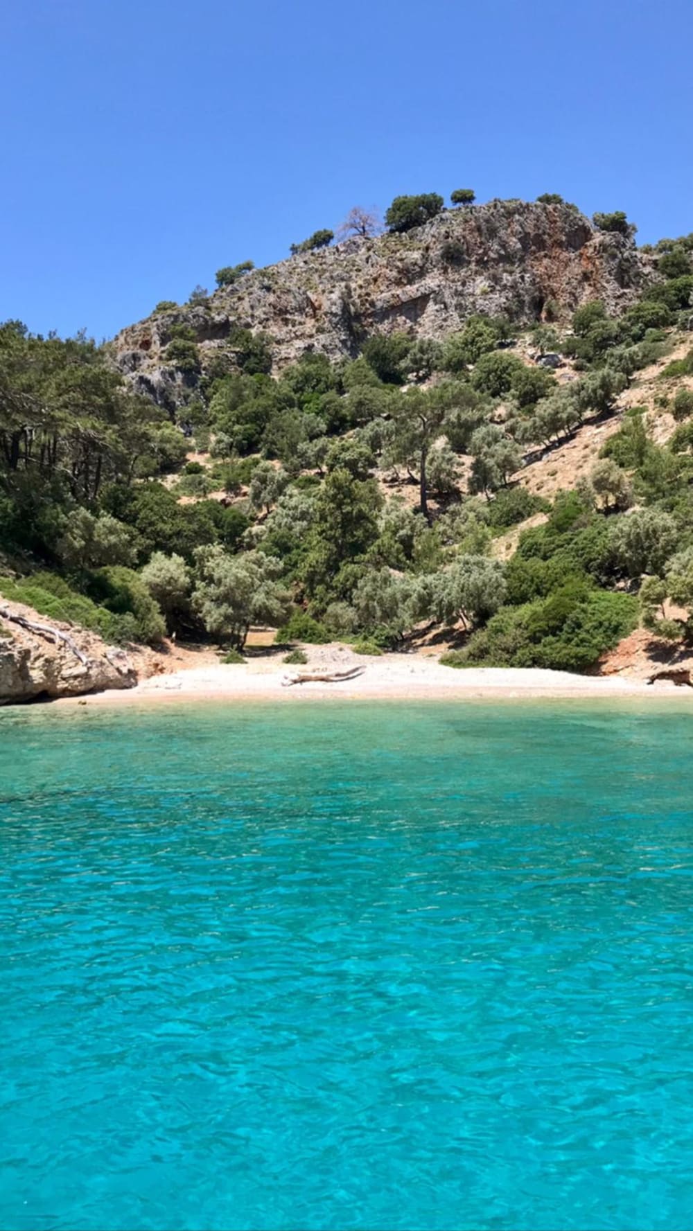 Sail to Serenity: Full-Day Escape to the Prince Islands from Istanbul