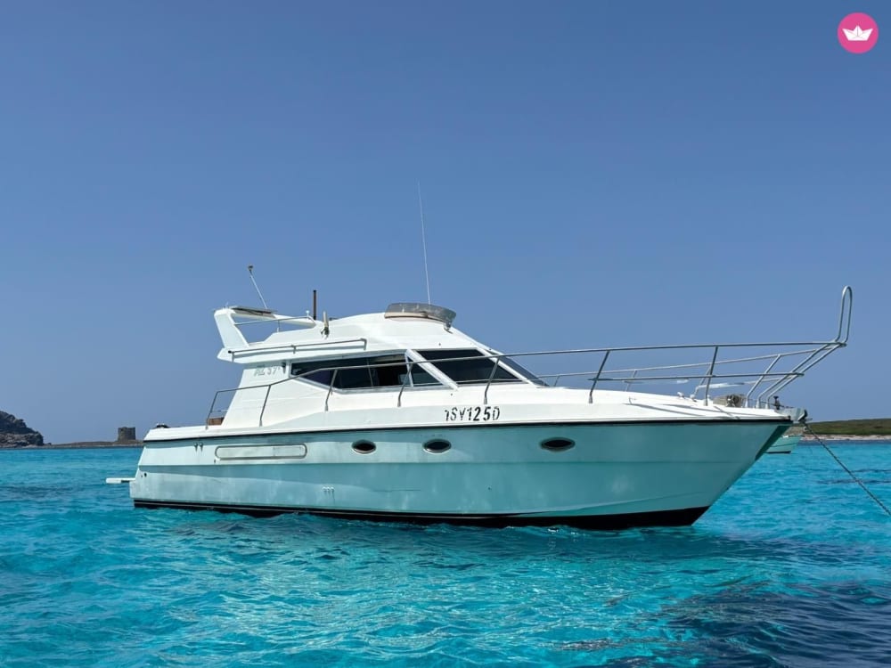 Hidden Treasures of Stintino: Half Day of Sea and Relaxation