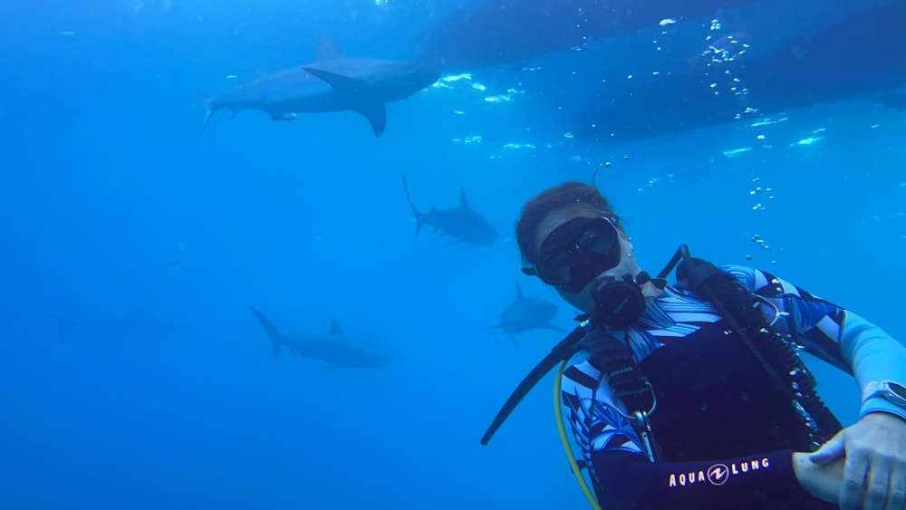 Dive in Style: Private Scuba Excursion in Montego Bay