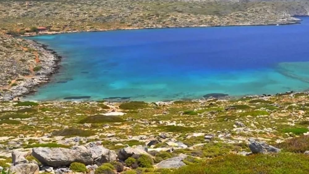 Leggende e fauna selvatica: una crociera di 5 ore e mezza alla mitica isola di Dia