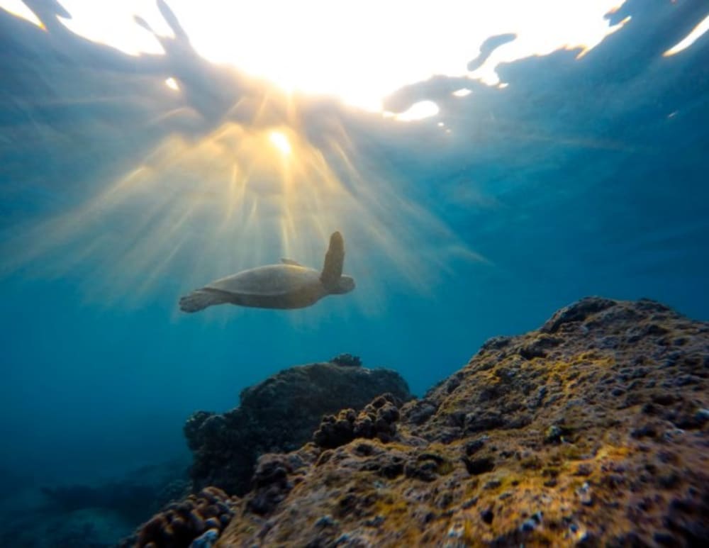 Sunset Serenity: una crociera di 5 ore e mezza verso la mitica isola di Dia