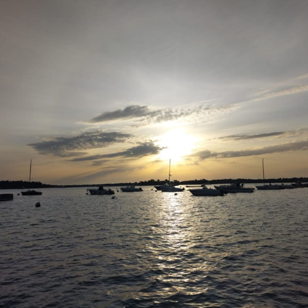 Avventura marina da Port Navalo: vivi il Golfo del Morbihan per un giorno