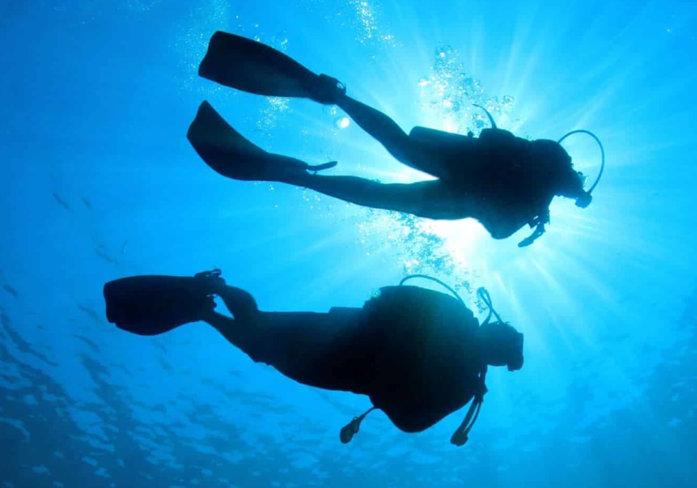 Reis onder de oppervlakte – Introductieduiken en privéavontuur in het hart van het reservaat Bouches de Bonifacio