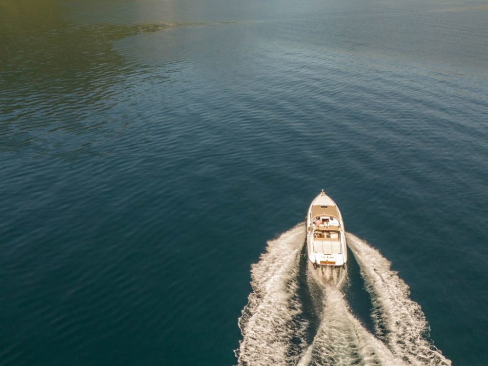 Taste the Coast: 4-Hour Culinary Transfer to Ribarsko Selo from Herceg Novi