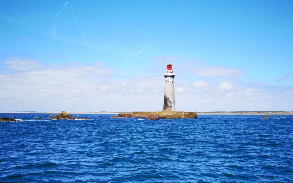 Halbtägiges Angeln und Picknick auf See – Abfahrt von Saint Gilles Croix de Vie