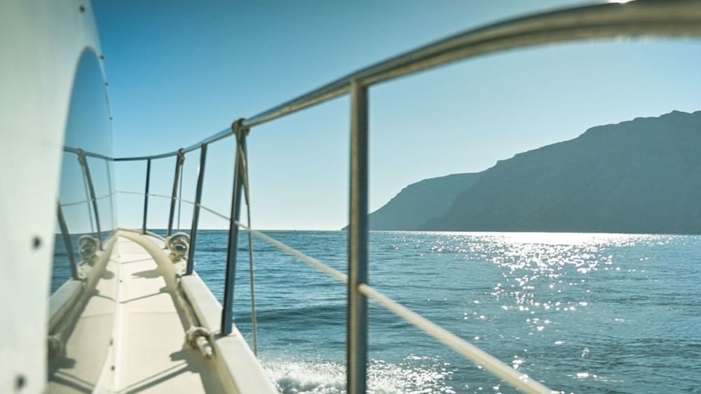 Discover the Real Portugal on a 4-Hour Day Tour from Tróia