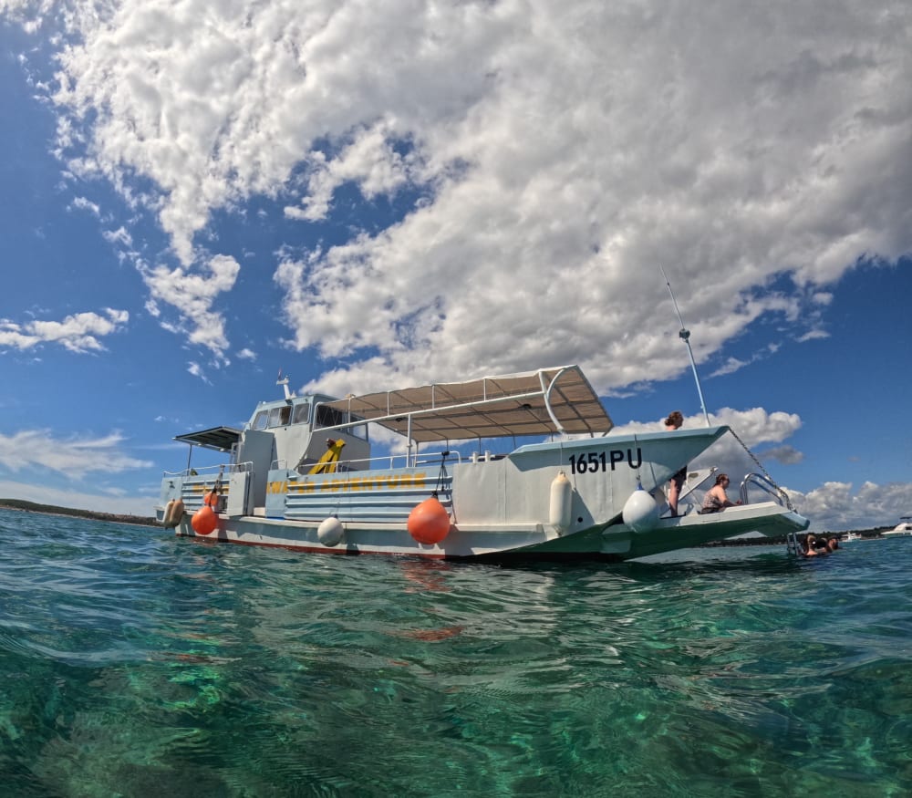 Tour dei bar dell'isola con sosta al bar safari - 6 ore