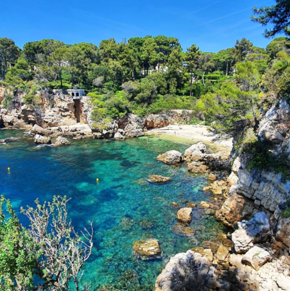 Crociera di 4 ore - Diretta verso la Baia dei Miliardari o una delle Isole di Lerino.
La scelta perfetta per un pomeriggio di relax.