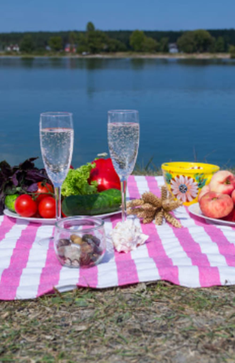 Ganztägiger Champagner- und Picknick-Ausflug – Ruhe am Rhein