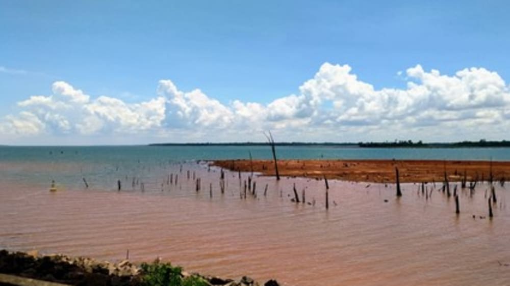 Vues sur la forteresse&nbsp;: excursion en bateau privé à Praia do Forte et Urca